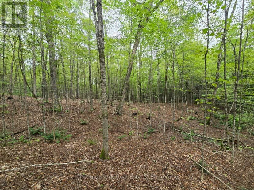 00 Old Track Road, Perry, photo 3