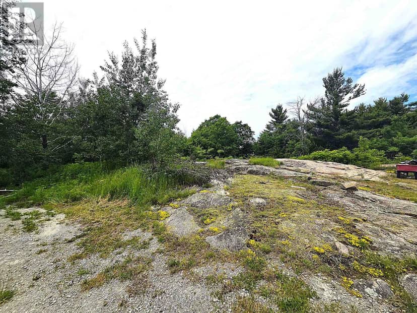 1594 Honey Harbour Road, Georgian Bay, photo 3
