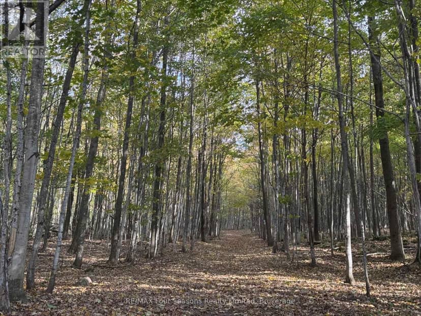 North 1/2 Lot 25 St Vincent Sydenham Townline N, Meaford, photo 8