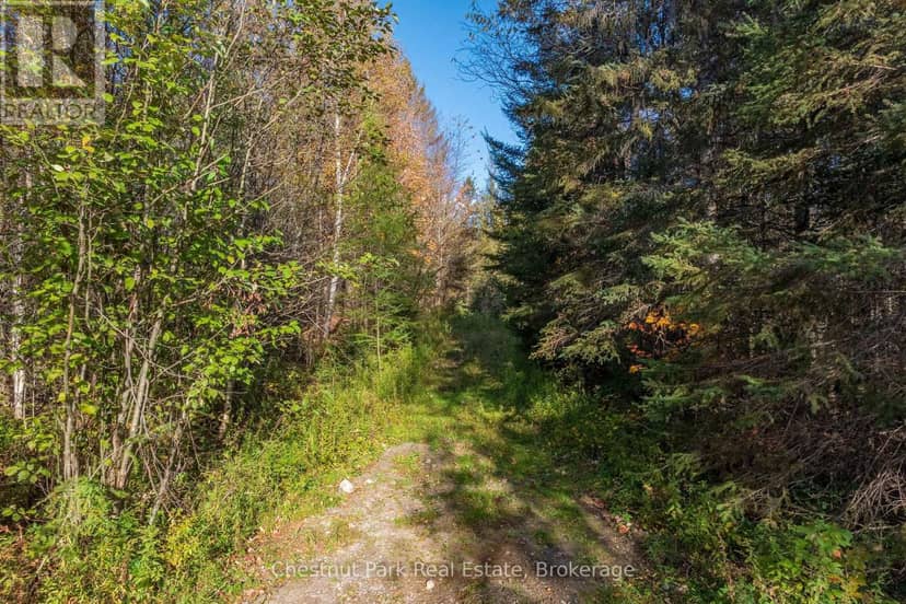 00 Old Track Road — photo 35 of 40