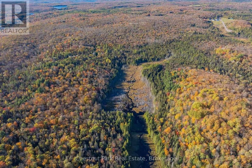 00 Old Track Road — photo 39 of 40