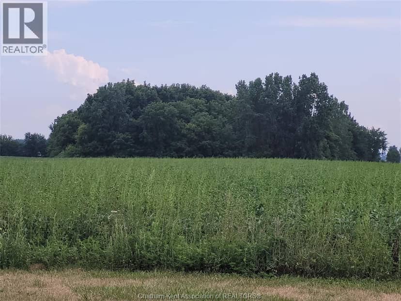 221 Holt Line — photo 21 of 27