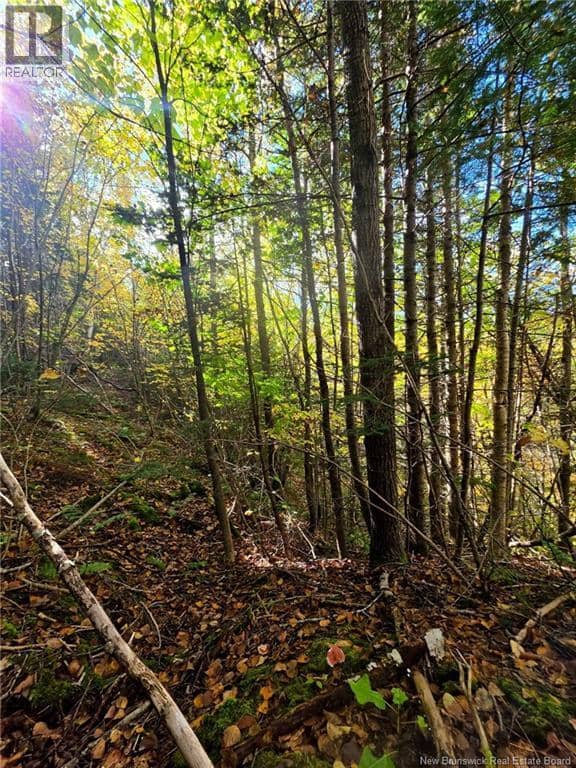 LOT 25-3 Mulligan Road — photo 19 of 26
