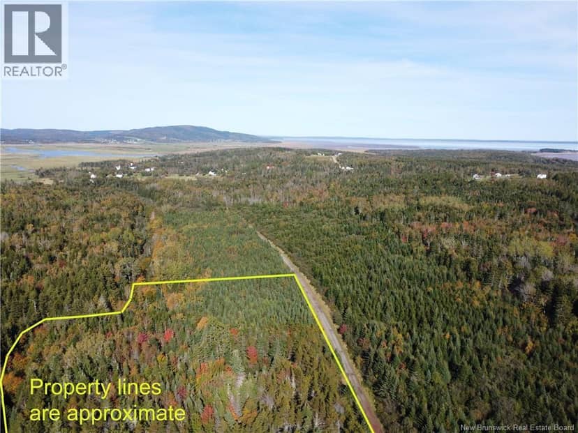 LOT 25-3 Mulligan Road — photo 9 of 26