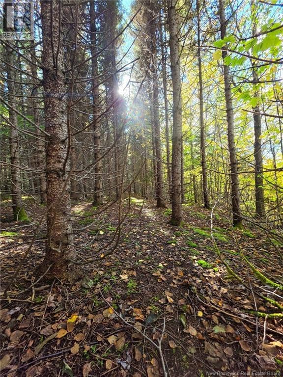 LOT 25-3 Mulligan Road — photo 14 of 26