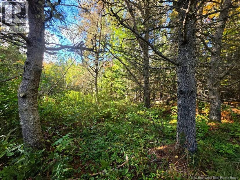 LOT 25-3 Mulligan Road — photo 25 of 26