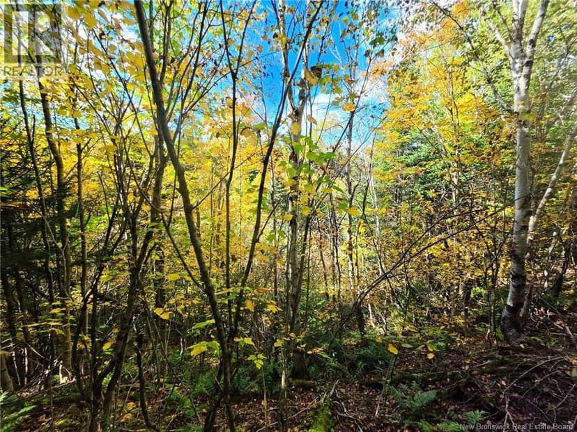 LOT 25-3 Mulligan Road — photo 15 of 26