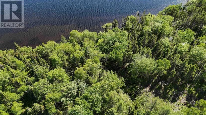 Lot 98-7C Gabe MacIsaac, Salem Road — photo 11 of 15