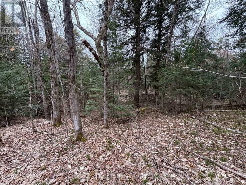 Lot 1 Loch Erne Road — photo 10 of 11