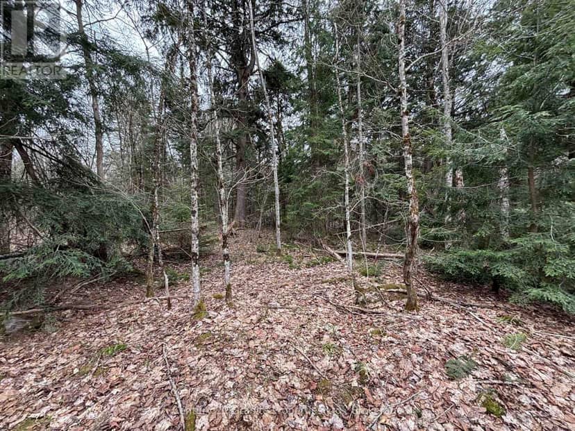 Lot 1 Loch Erne Road, McDougall, photo 7