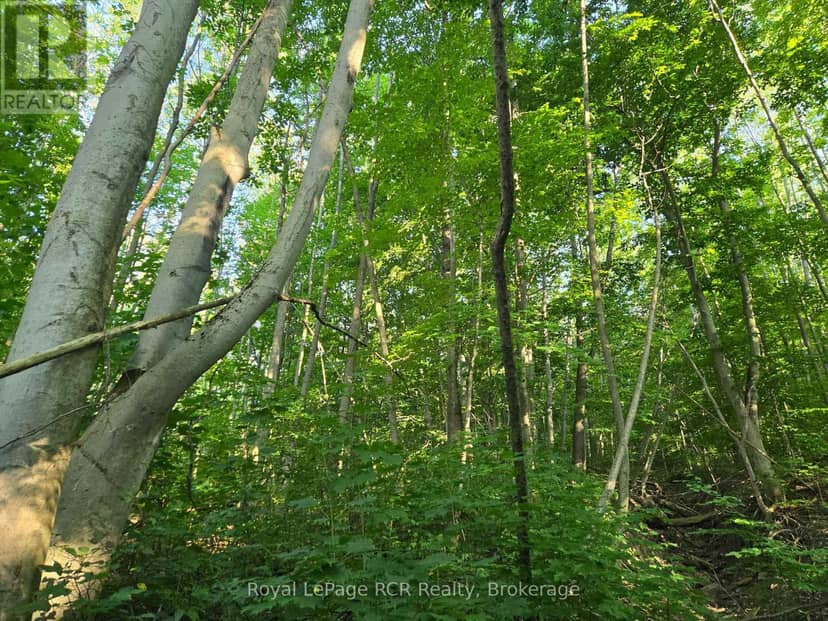 130 Old Highway 26 Highway, Meaford, photo 5