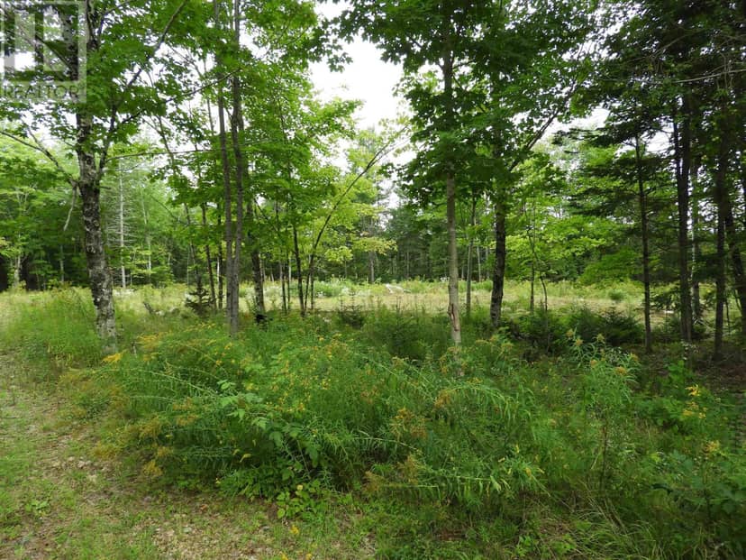 Lot 2022-1 Meister Road — photo 11 of 17