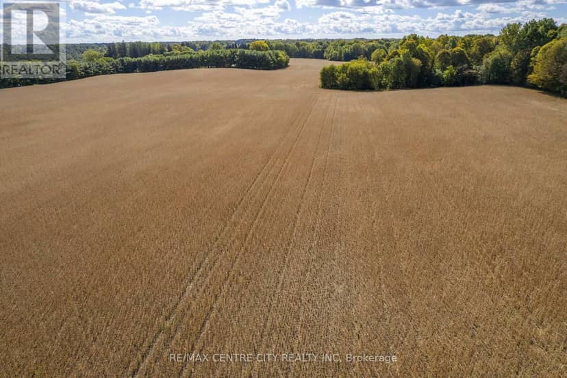 Pt Lt 113 Culloden Road — photo 17 of 32