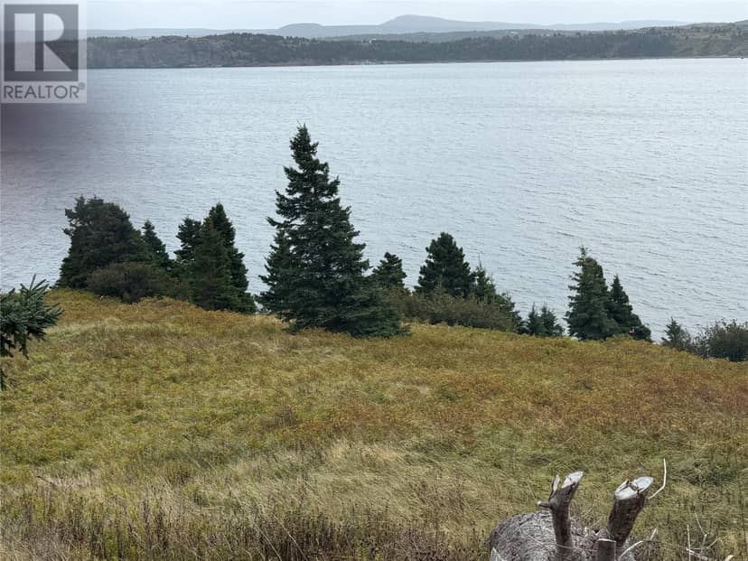 263A Corporal Jamie Murphy Memorial Drive, Conception Harbour