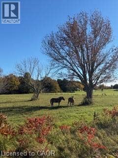 502054 GREY RD 1 Road, Georgian Bluffs, photo 2