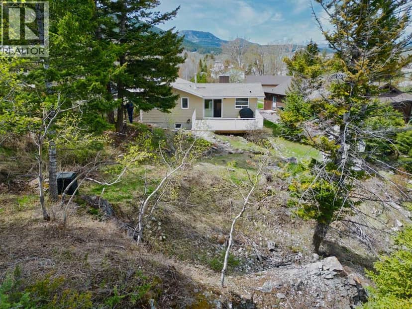 13553 18 Avenue, Blairmore, photo 4