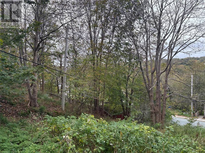 609 Southside Road, St. John's, photo 7