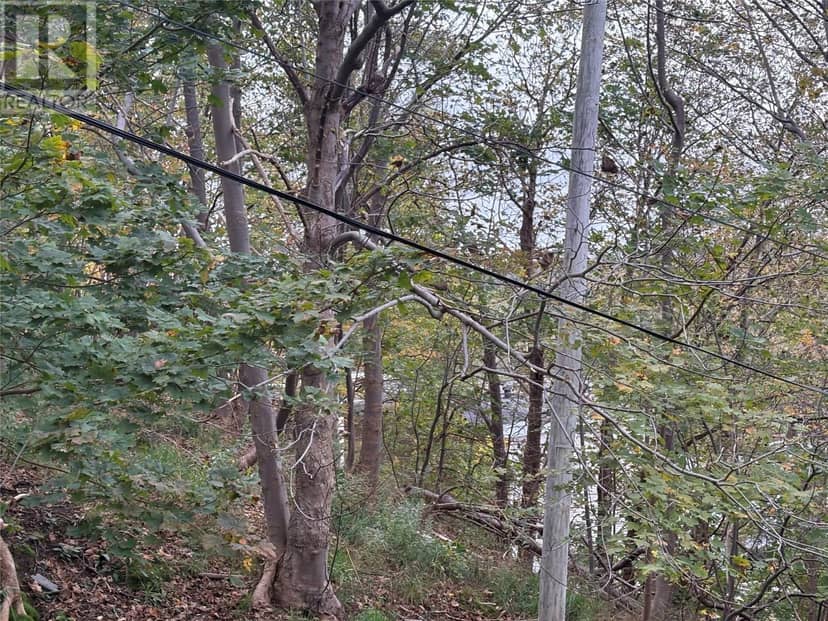 609 Southside Road, St. John's, photo 8