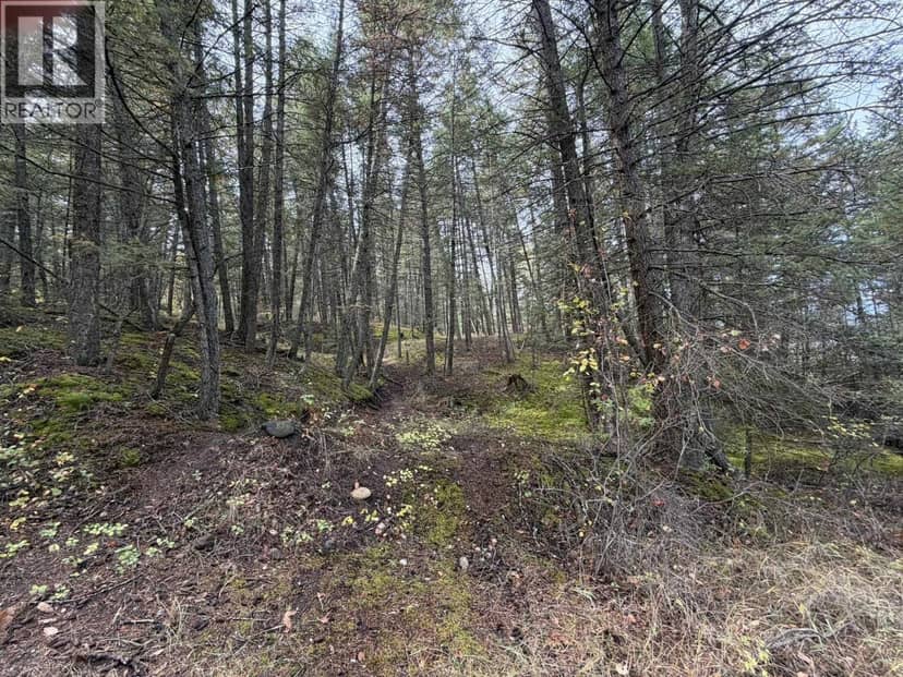 1401 Paxton Road, Williams Lake, photo 5