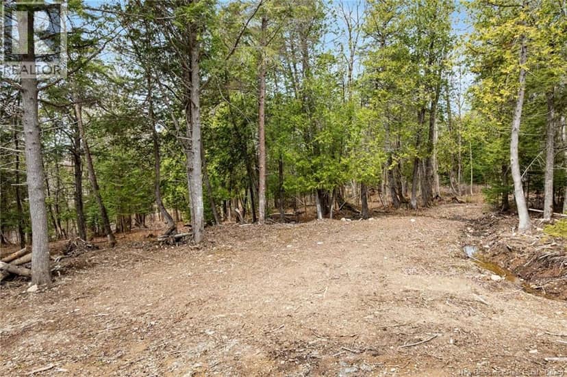 00 Everett Lane — photo 15 of 28