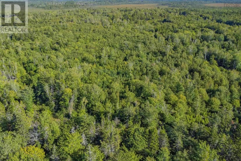 Ruel Du Lac Gaspereau, Mayflower, photo 4
