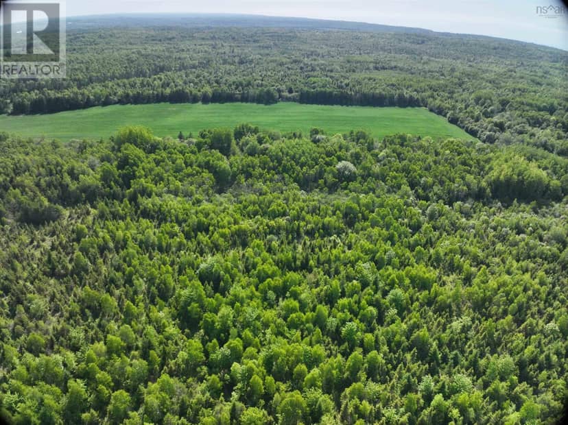 Lot 6 Baxters Harbour Road — photo 4 of 9