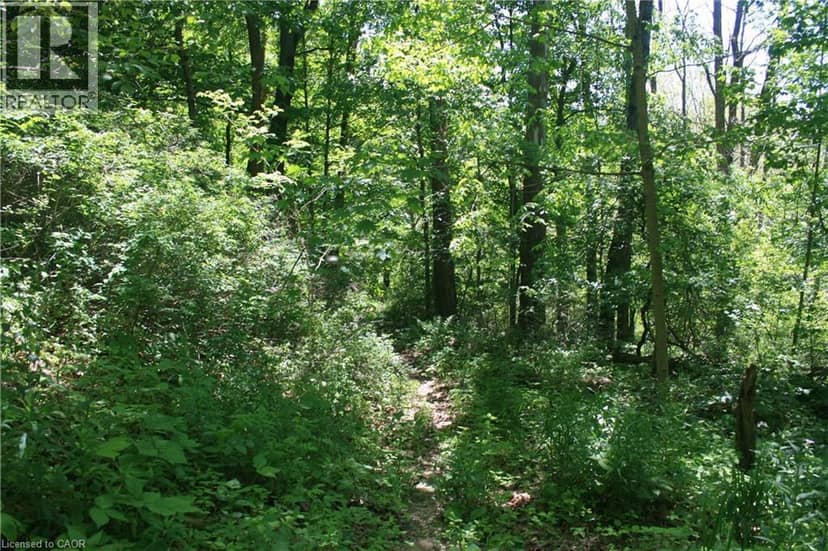 6349A PLANK Road — photo 13 of 19