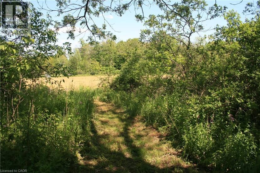 6349A PLANK Road — photo 19 of 19