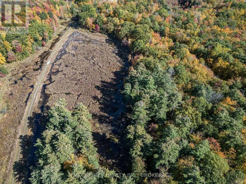 0 Clear Lake Road — photo 12 of 40