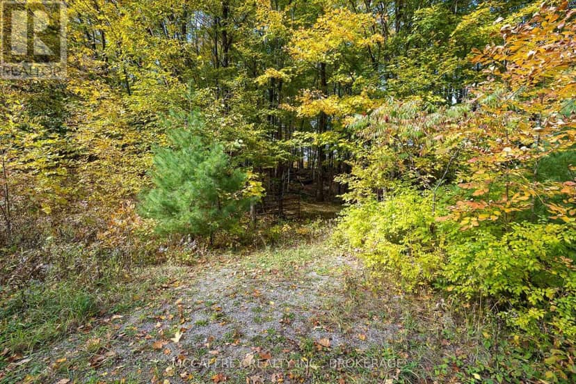 0 Clear Lake Road — photo 28 of 40