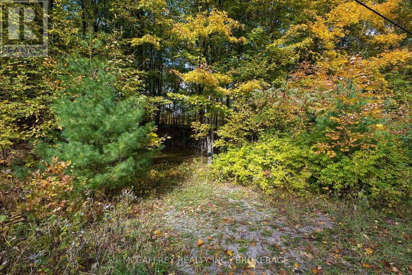 0 Clear Lake Road — photo 29 of 40