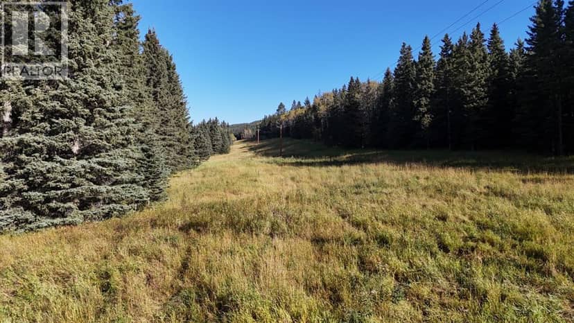 50 acres Range Road 60 — photo 12 of 13