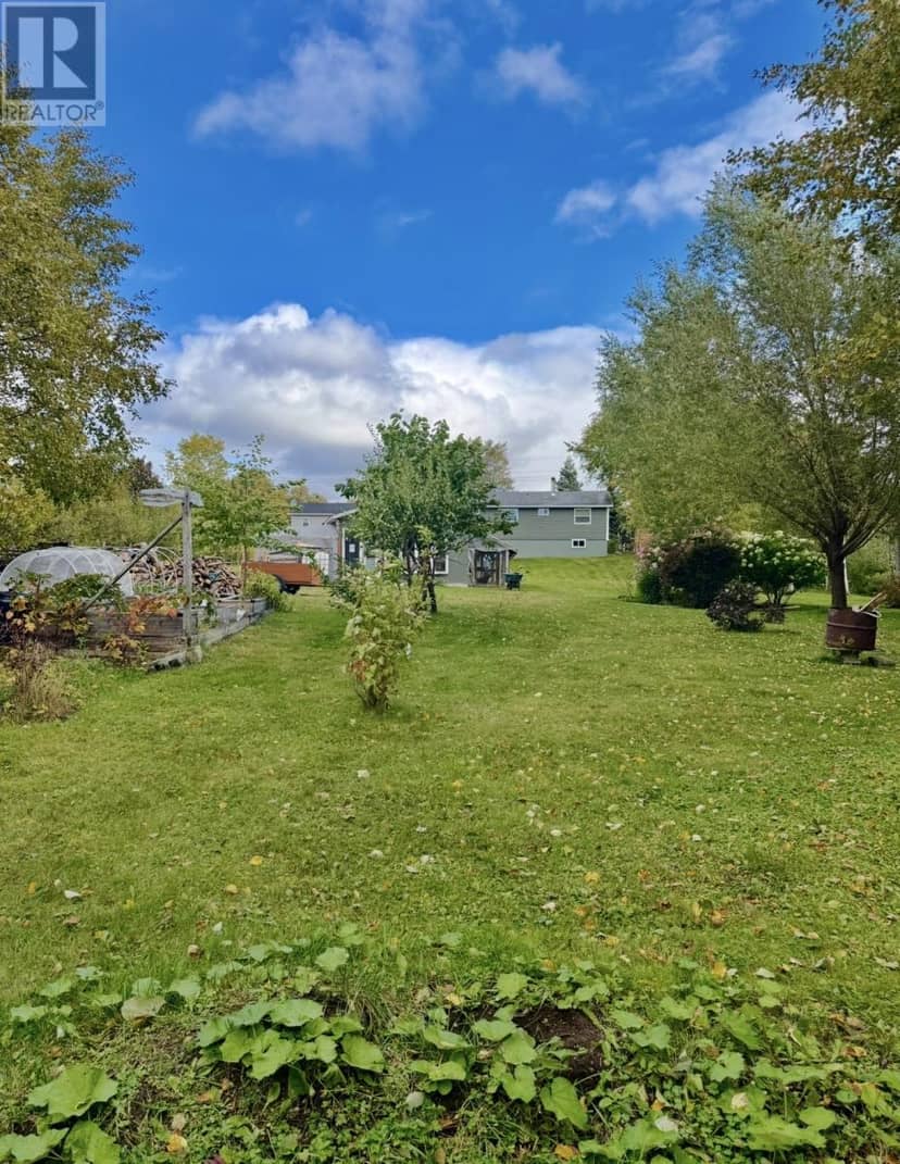 24 Farm Road, Howley, photo 4
