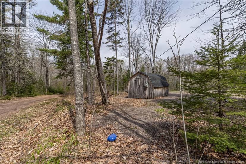 10 McNamara Lane — photo 39 of 40