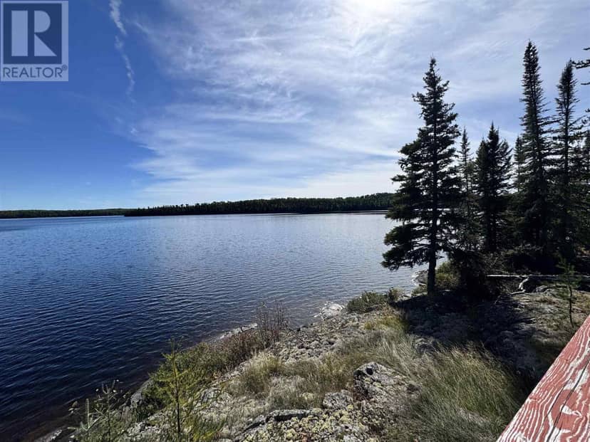 PCL 8 Sec Dog LK — photo 19 of 24