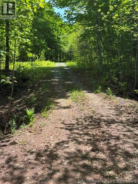 350 Bloomfield Ridge Road — photo 26 of 31