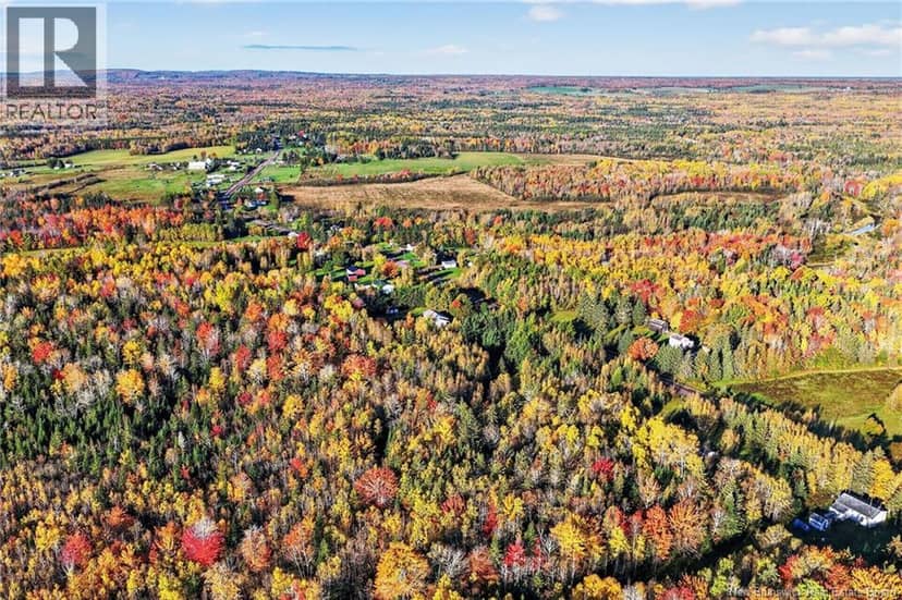 Lot 20-3 Shediac River Rd, Saint-Philippe, photo 7