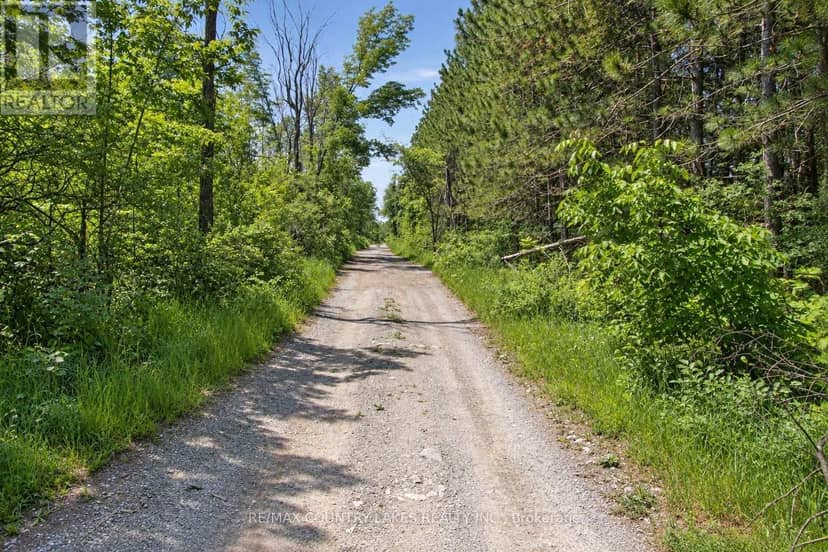 LT25 Ramblewood Trail — photo 17 of 26