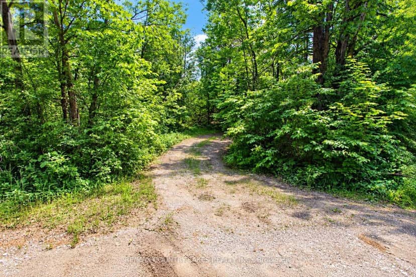 LT25 Ramblewood Trail — photo 11 of 26
