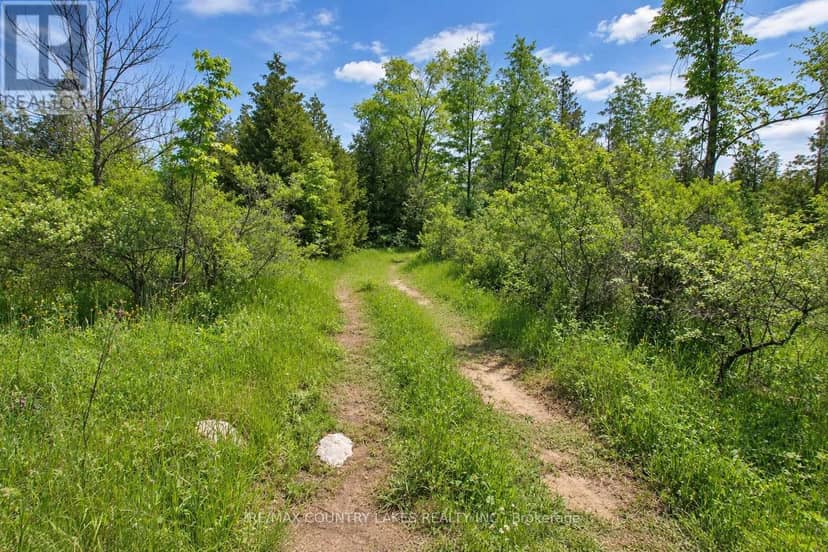 LT25 Ramblewood Trail — photo 13 of 26