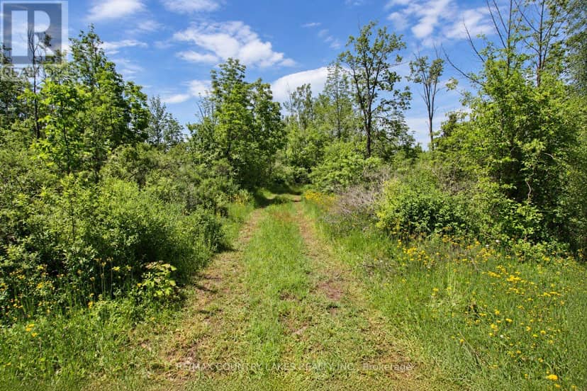 LT25 Ramblewood Trail — photo 4 of 26