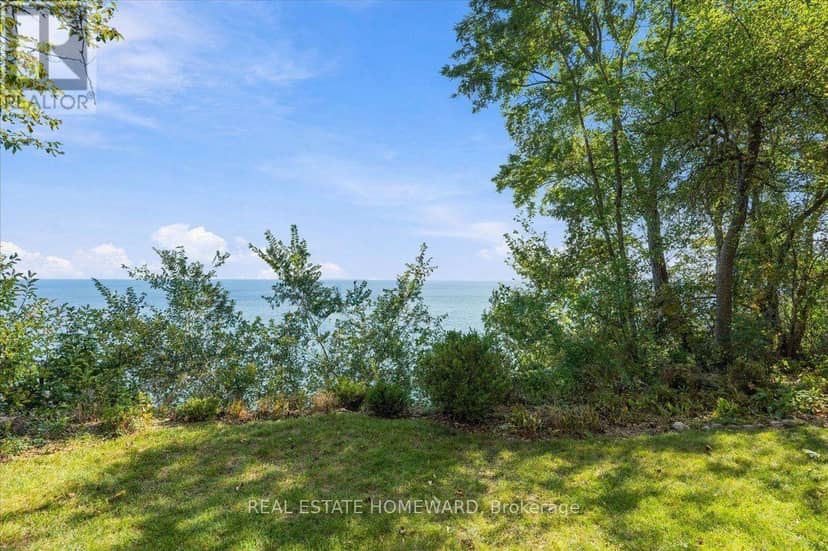35 Springbank Avenue — photo 8 of 40