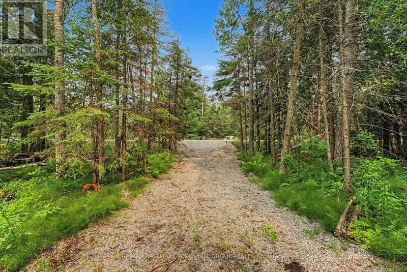 6905 County Road 21, Essa, photo 6