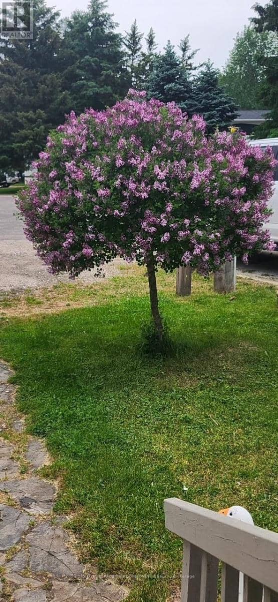 4 Laurel Lane — photo 27 of 33