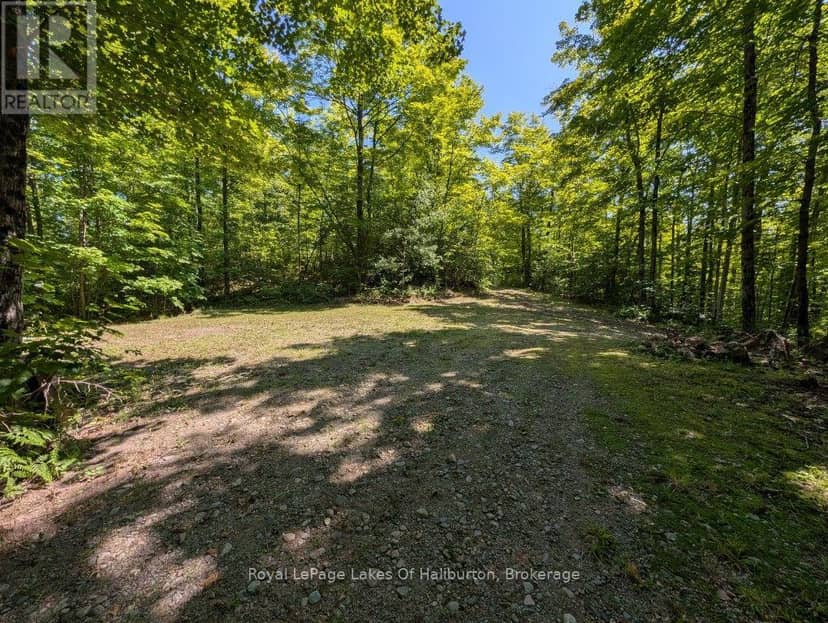 9842 Highway 35 — photo 14 of 40
