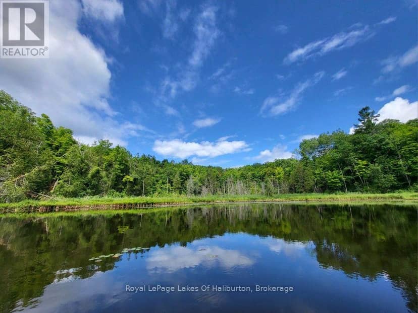 9842 Highway 35, Minden Hills, photo 4