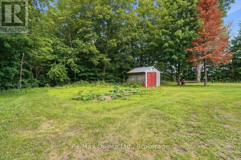 16492 Highway 62, Madoc, photo 6