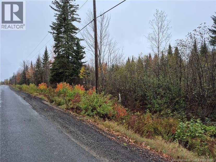 Kingsley Road — photo 1 of 21