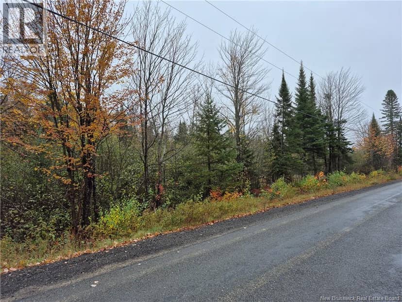 Kingsley Road — photo 18 of 21