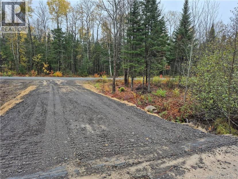 Kingsley Road — photo 2 of 21
